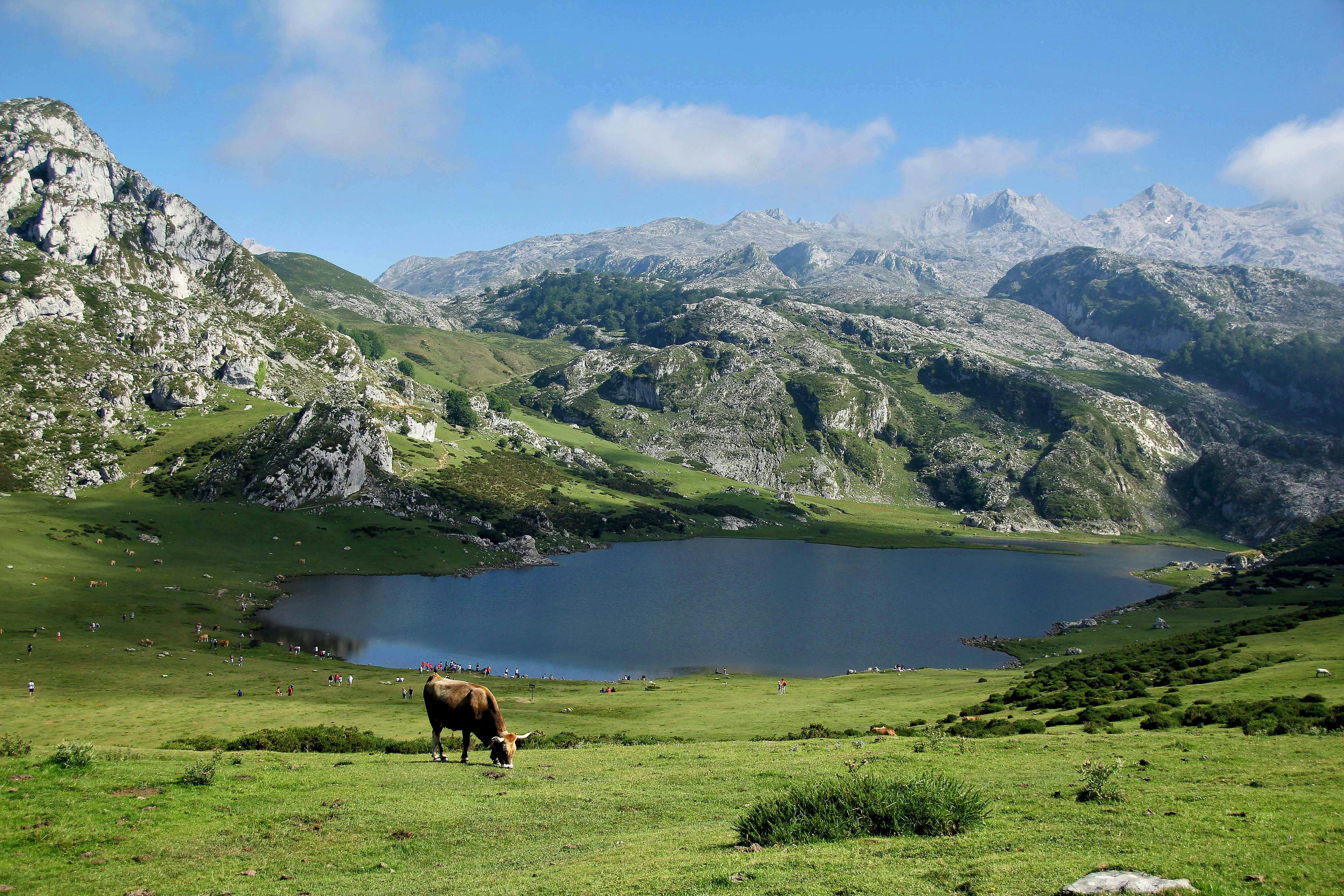 Naturaleza en Asturias