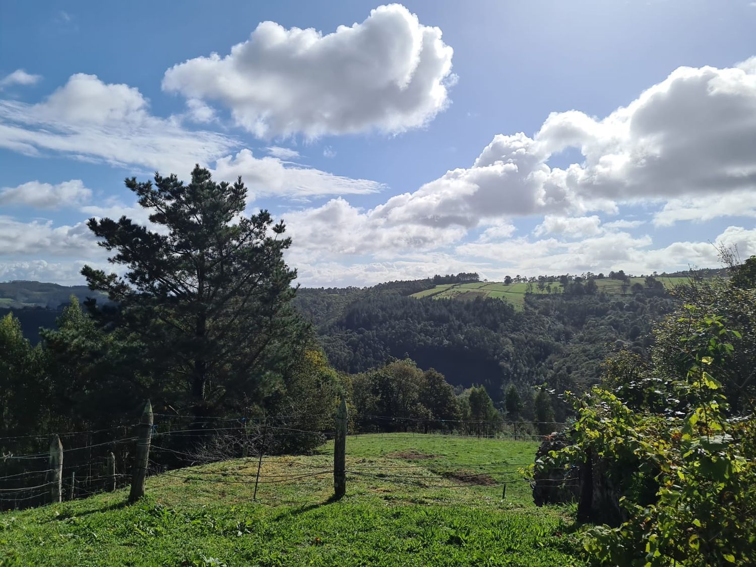 Terreno en Pravia en Área de Pravia - Foto 3