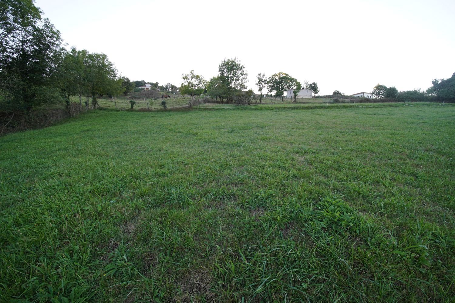 Terreno en Illas en Área de Corvera – Candamo - Foto 2