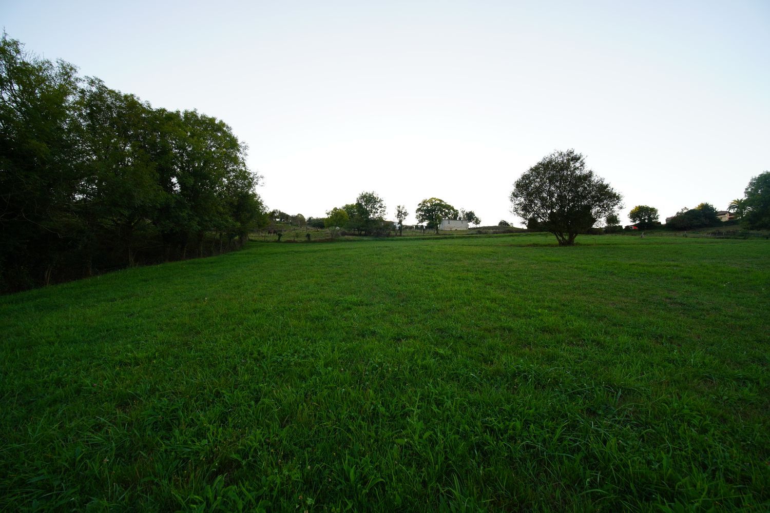 Terreno en Illas en Área de Corvera – Candamo - Foto 10